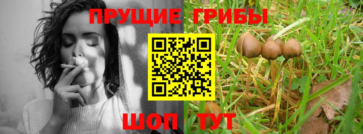 Галлюциногенные грибы Psilocybine cubensis  Вход с VPN  Галлюциногенные грибы ЛСД  Назарово 